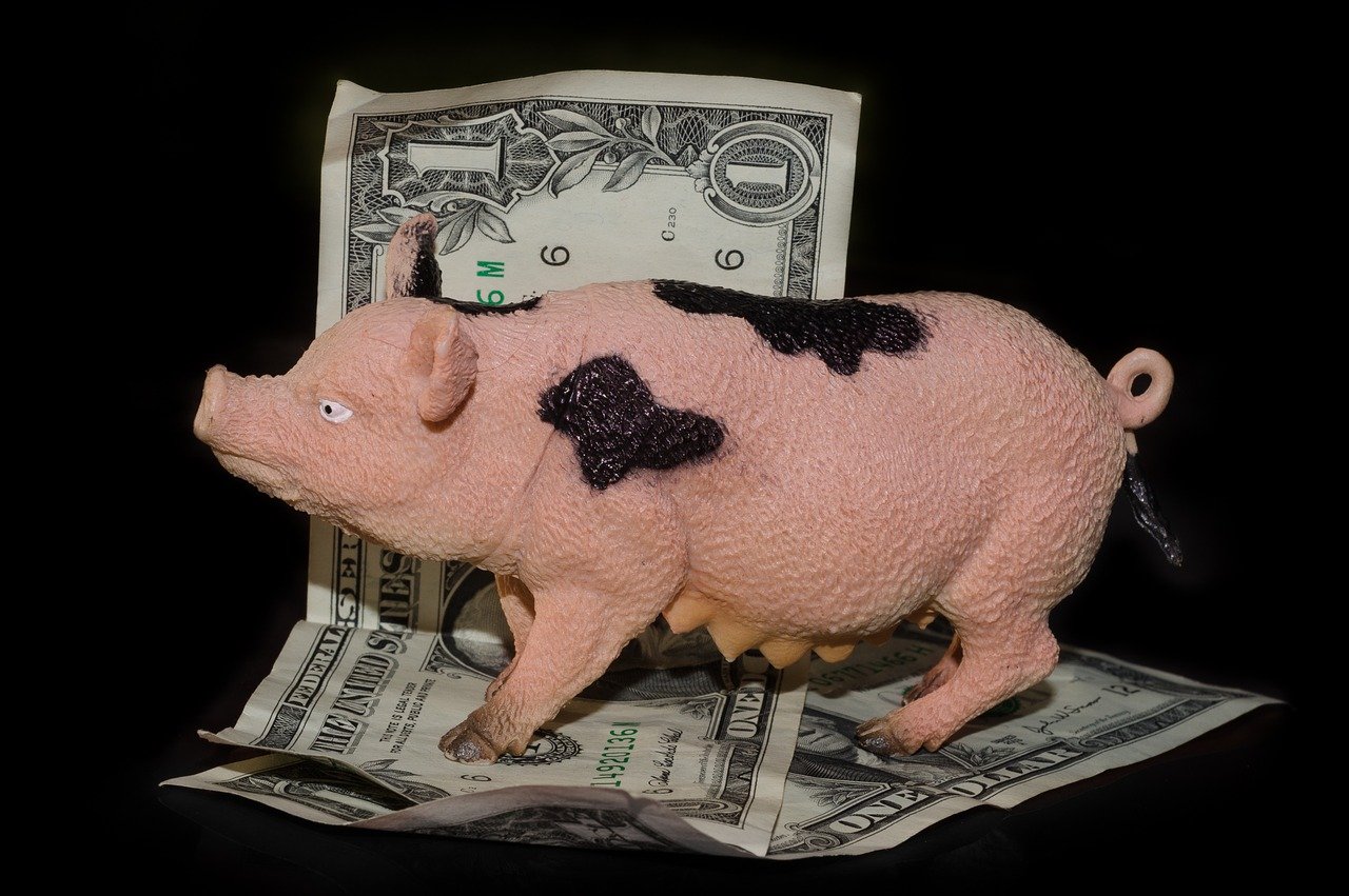 How To Find A Cash Pig